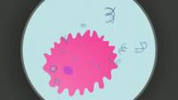 Producing Embryonic Stem Cells in Living Adult Organisms