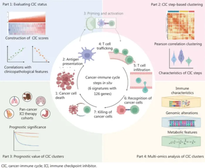 Decoding tumor immunity: a four-step CIC-based subtyping strategy for precision immunotherapy.