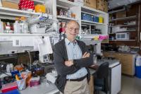 Investigator Michael Rosbash, Howard Hughes Medical Institute 