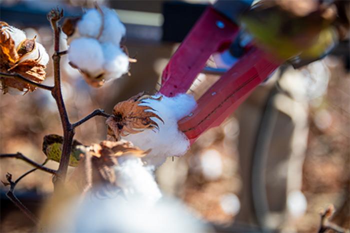The 'end-effector,' a two-fingered robotic arm