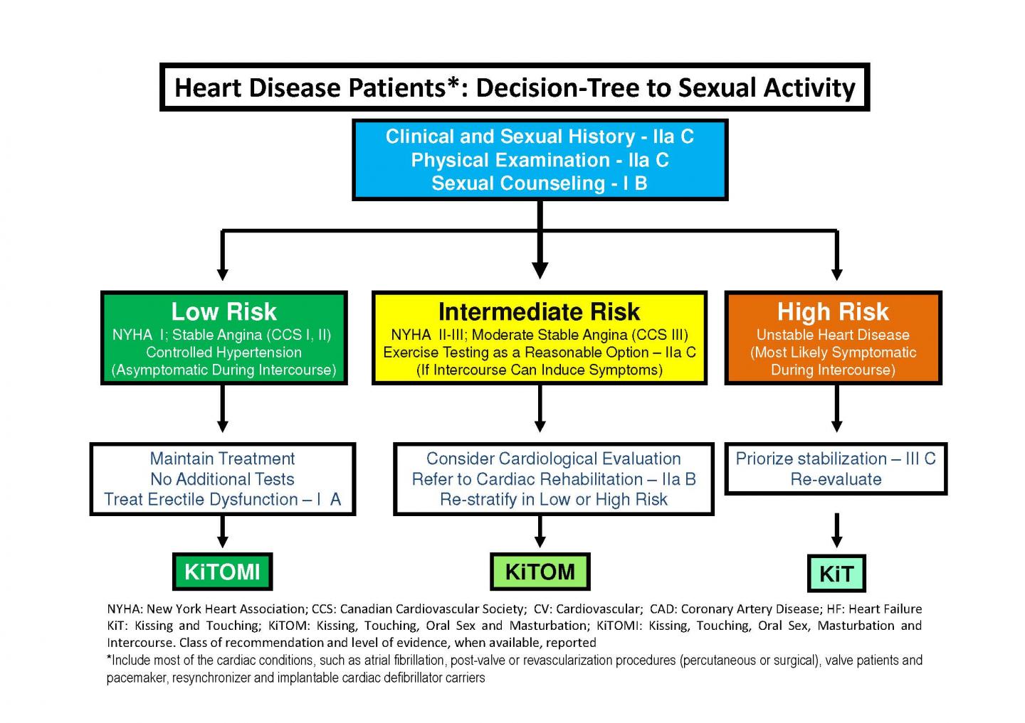 What Sex Is Safe for Heart Patients: A New Approach Using the KiTOMI Model