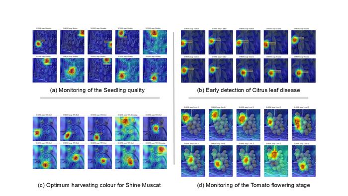 Multi-crop deep learning model integrated with an AI-assisted semi-automatic annotation framework