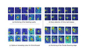 Multi-crop deep learning model integrated with an AI-assisted semi-automatic annotation framework