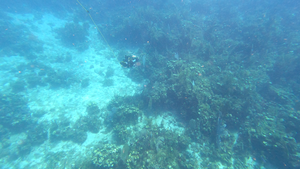 A prototype of an autonomous underwater vehicle