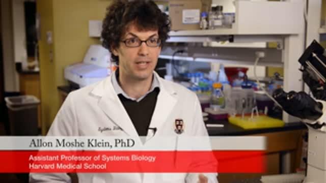 Developing Genetic Barcode