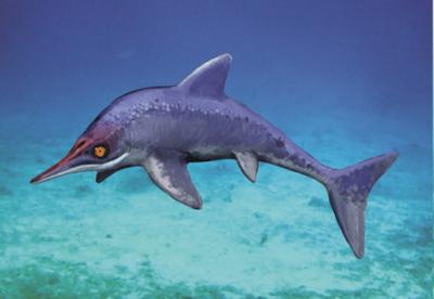 <i>Malawania</i> Ichthyosaur
