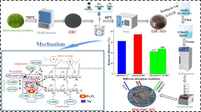 Reusable magnetically-modified Enteromorpha prolifera-based biochar hydrogels: competitive removal mechanism for metal-organic dye composite contaminants