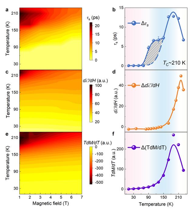 Phase diagrams of temperature-magnetic field effects.