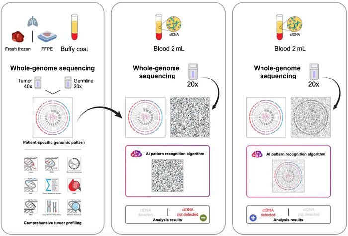 Overview of the ctDNA whole-genome sequencing (WGS) for minimal residual disease.