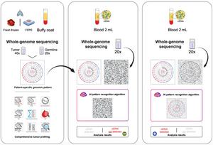Overview of the ctDNA whole-genome sequencing (WGS) for minimal residual disease.