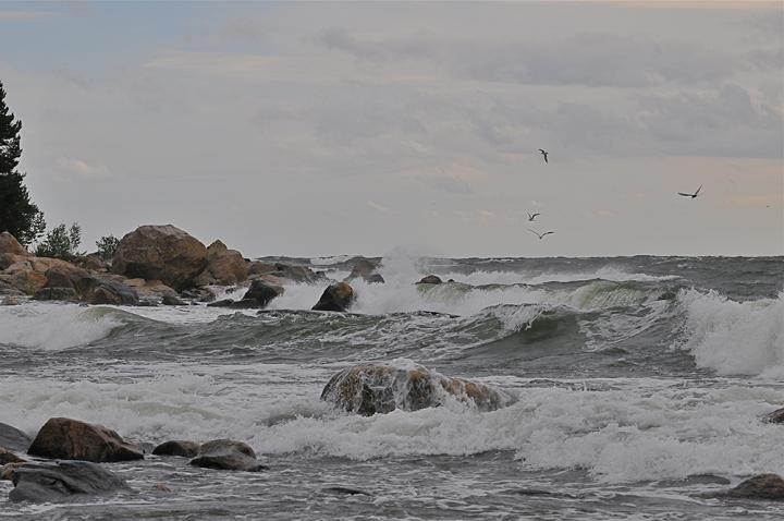 Ocean With Eocks