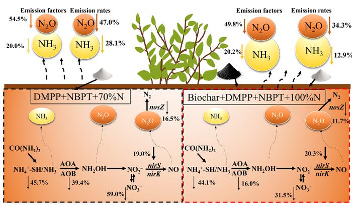 Reduction in N2O and NH3 emissions with combined use of dual inhibitors and biochar in a tea field soil in subtropical central China