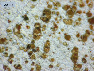Tracing Ultra-Fine Dust