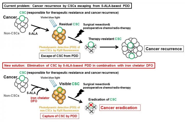 A current limitation and a new strategy to detect CSCs for cancer eradication