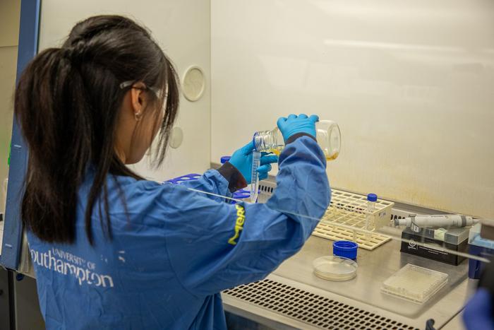 Researcher Michelle Lin preparing samples of bacteria and phages for study