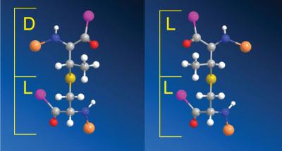 1 Enzyme, Different Stereochemistries