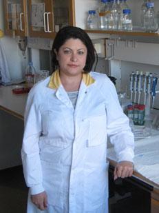 Rozita Anderberg, University of Gothenburg