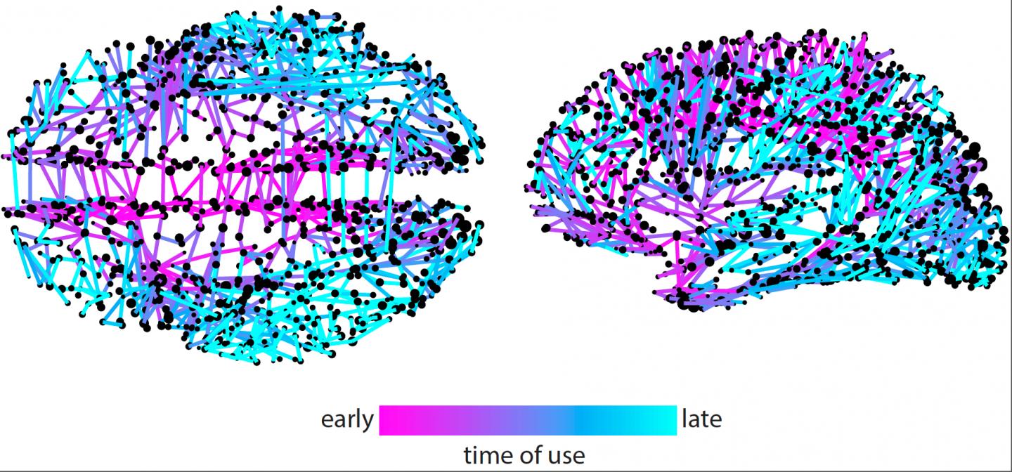 Brain Mapping