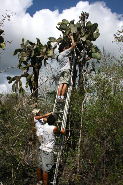 Fieldwork