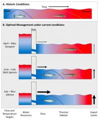 Graphical Abstract