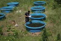 Artificial Ponds for Ecosystem Research