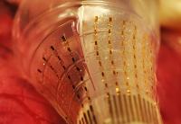 Flexible Bioelectronics
