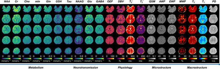Multiplexed MRI