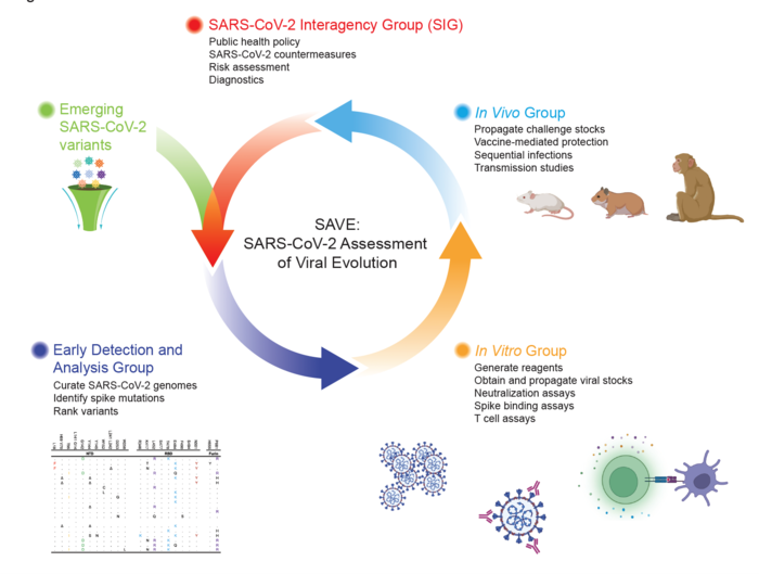SAVE team changed how science is done, spanning 58 institutions