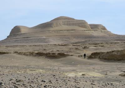 Prospection for Fossil Cetaceans in the Locality of Ullujaya, Pisco Basin, Peru
