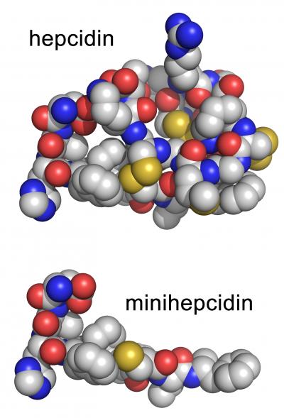 Hepcidin