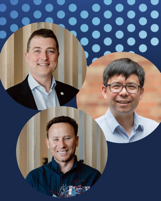 Lead authors