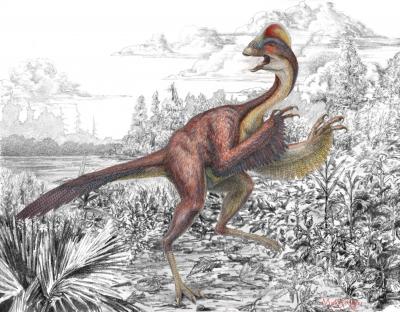 Illustration of <i>Anzu wyliei</i>