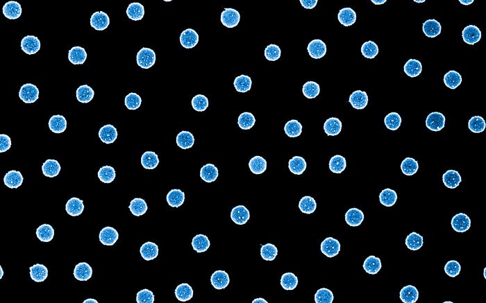 Nanoparticles of platinum