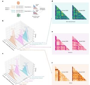 PolyU-led research reveals that sensory and motor inputs help large language models represent complex concepts