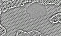 Carbon Atoms in Motion at TEAM 0.5