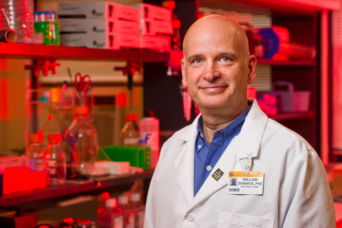 William Durante, Ph.D., University of Missouri-Columbia