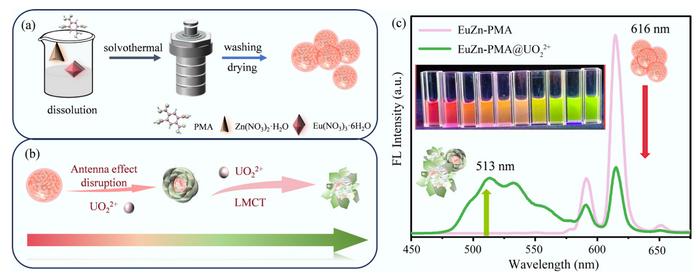 Dual-metal synergistic coordination enables ultrasensitive and ratiometric multicolor fluorescent detection of uranyl ions