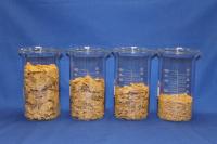 Cereal Beakers