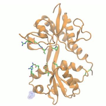 Glutamate