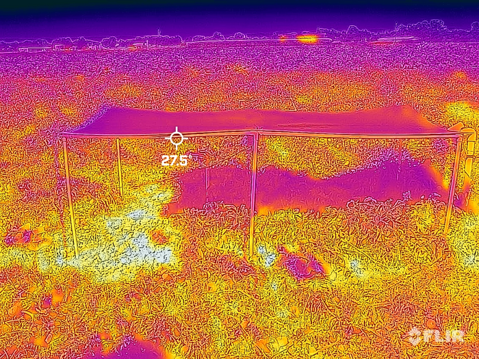 Agirvoltaic thermal tomato crop test