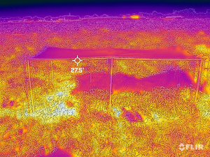 Agirvoltaic thermal tomato crop test