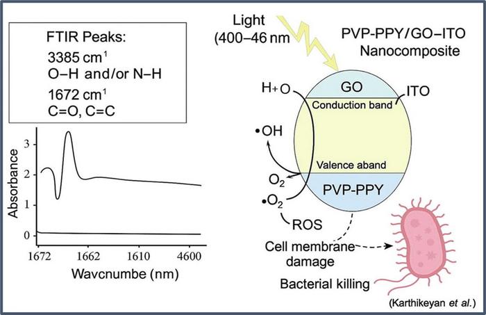 Impact of GO and ITO nanostructures’ performance on the nanostructure and optical behavior of a newly fabricated blended-PPY conductive polymer for antibacterial applications (Journal of Biosafety and Biosecurity).