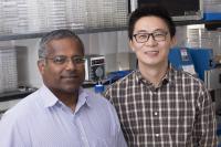 Research Team
