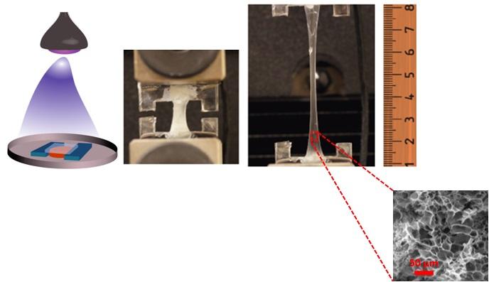 ELP Hydrogel