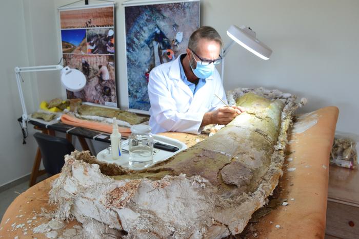 Elver Mayer prepares a femur fossil, approximately 1.5 meters long
