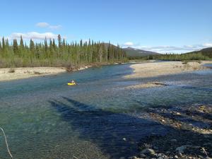 Salmon River