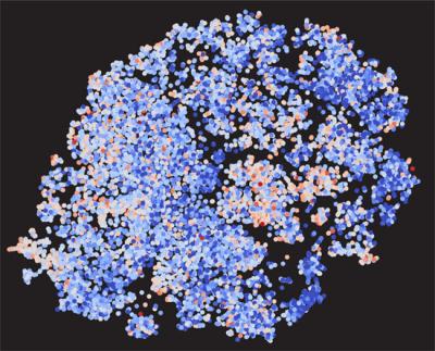 Why Some Human Genes Are More Popular with Researchers than Others