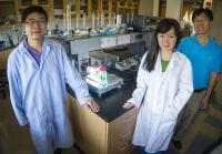 Dong Liu, Zi Wei and Fuqiang Liu, University of Texas at Arlington