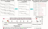 Techniques Used in Forensic Science Help Discover New Molecular Fossils (2 of 2)