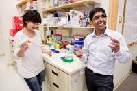 Satchidananda Panda and Megumi Hatori, Salk Institute